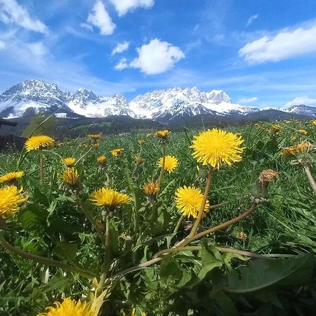 Ferienwohnung Lara Scheffau am Wilden Kaiser Exterior foto