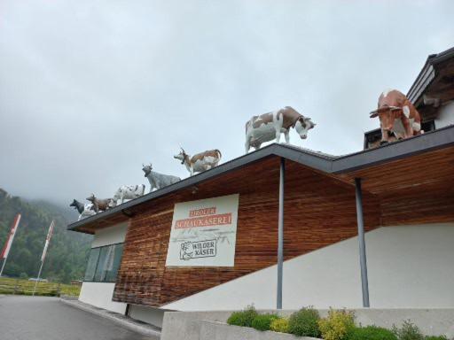 Ferienwohnung Lara Scheffau am Wilden Kaiser Exterior foto